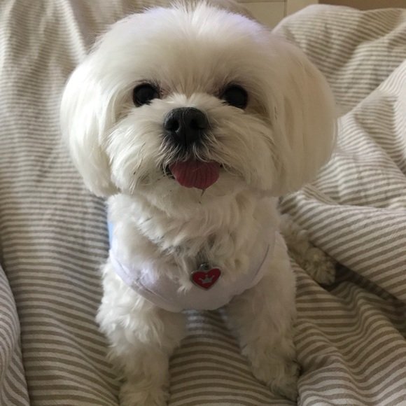 vivi_1980